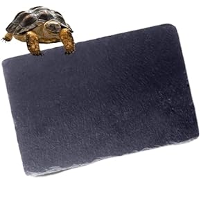 爬虫類・両生類用底砂・床材 - Amazon.co.jp